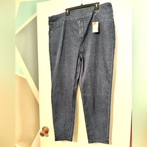 NWT Pull on jeans. Size 16.
